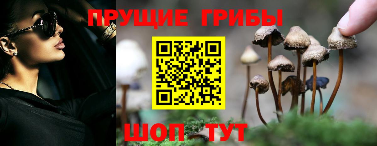 МДМА  Каннабис  Наро-Фоминск  Гашиш  ГАШ  Кодеин  Вход с VPN  Лсд 25  Меф МЯУ МЯУ кристаллы  Экстази 